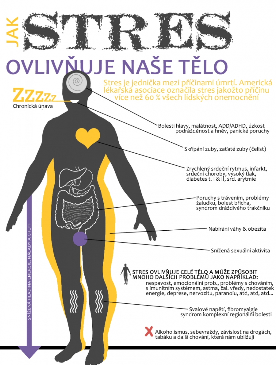 Jak stres ovlivňuje naše tělo