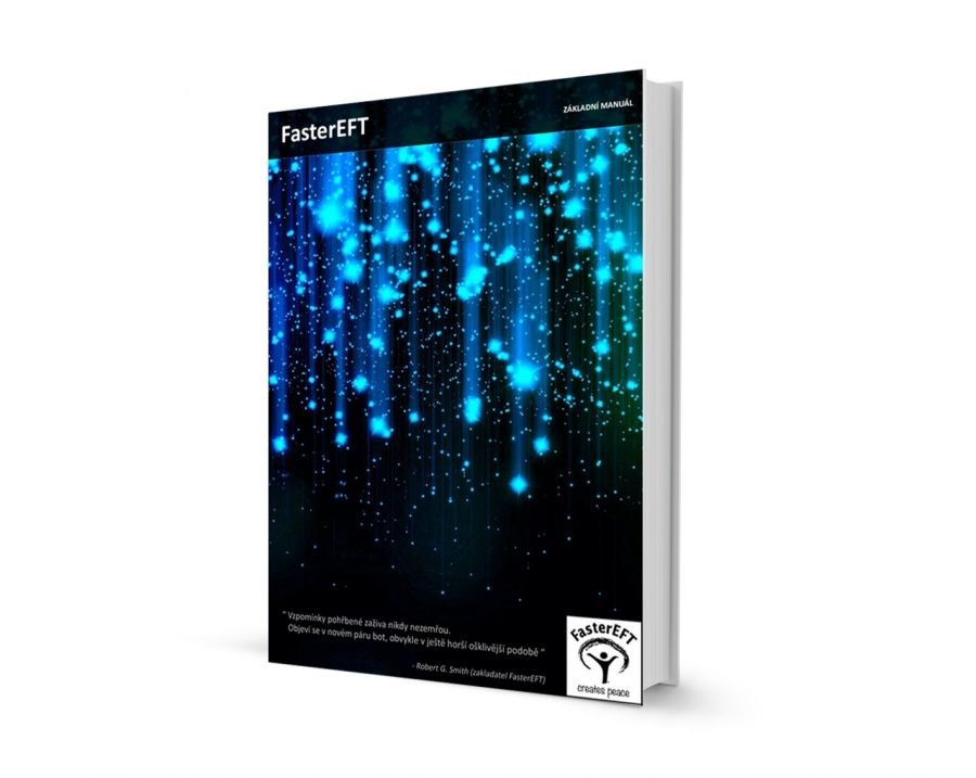 Základní manuál k FasterEFT zdarma